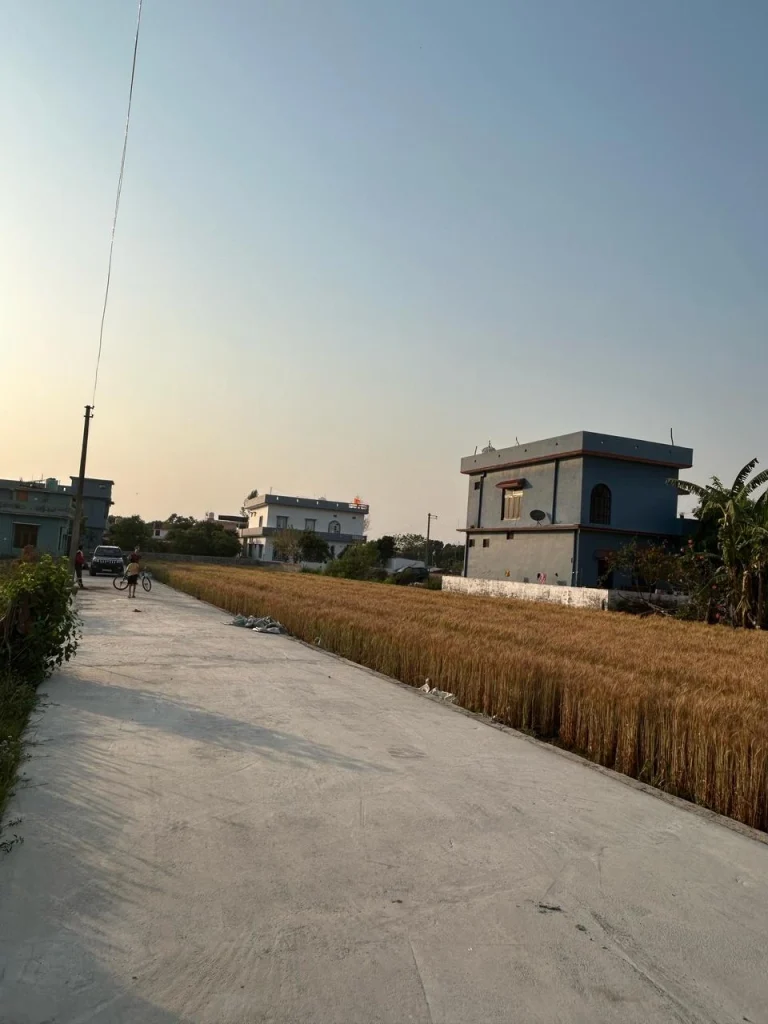 Road-facing residential plot for sale in Haldwani by RRB Properties, adjacent to golden wheat fields and a modern two-story house, ideal for peaceful living