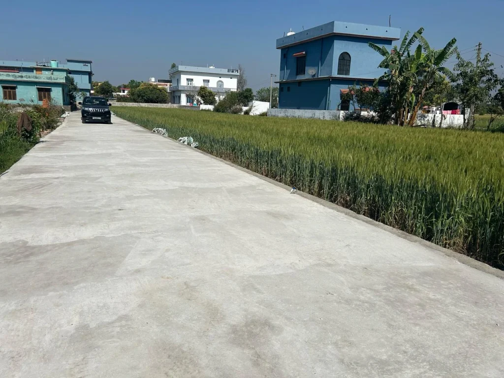 Concrete road with green wheat field and modern houses in Haldwani – real estate property image