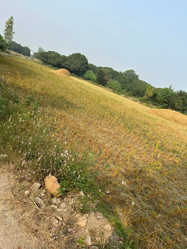Sold out agricultural plots by RRB Properties and Construction with scenic greenery and haystacks in the background