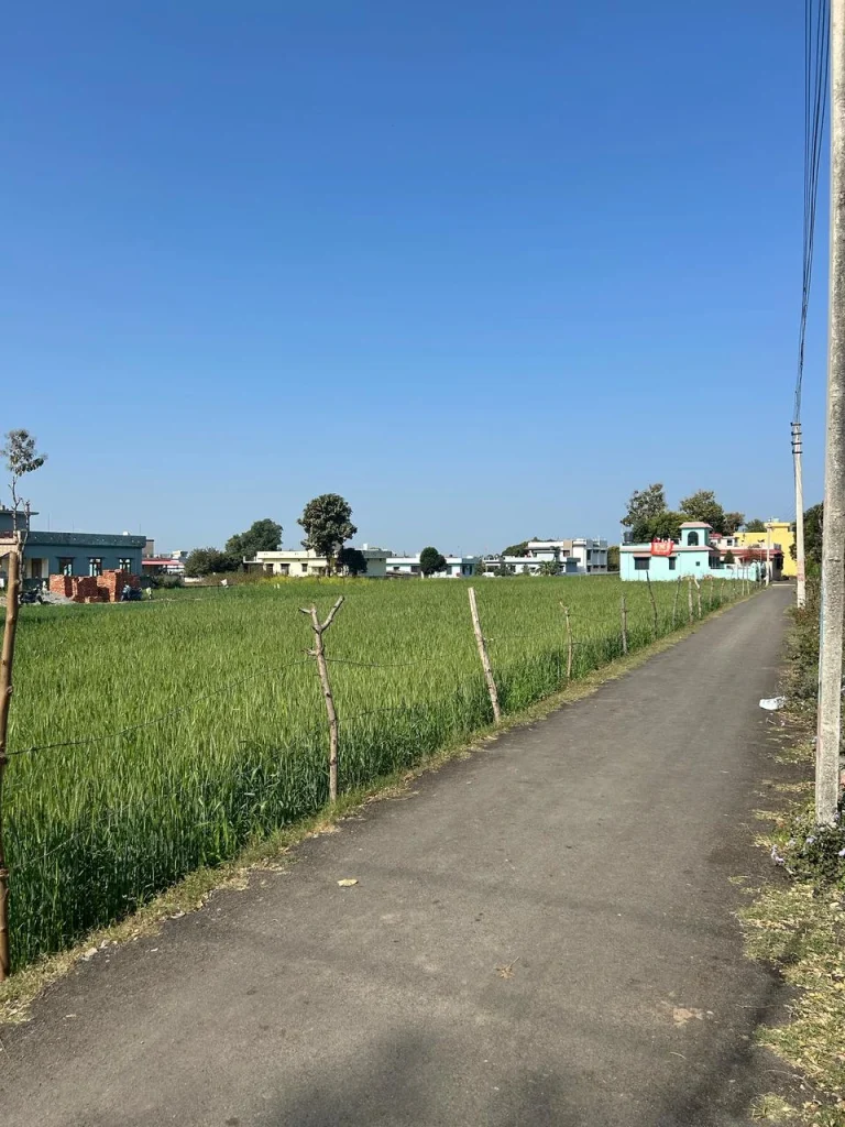 "Spacious residential plot alongside a paved road with green farmland and nearby homes, ideal for housing development – listed by RRB Properties and Constructions."